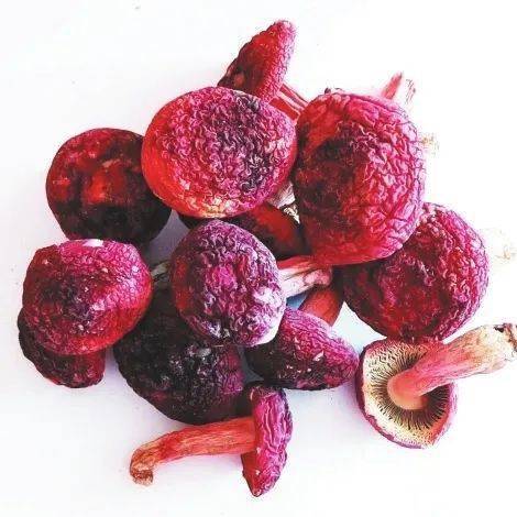 桃源富硒农产品加工(农桃源加工富硒产品怎么样)-硒宝网