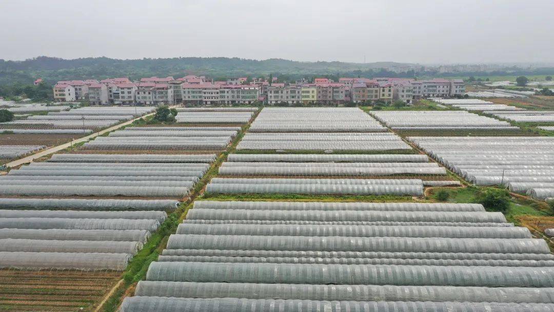 富硒农产品综合标准（富硒农产品硒含量标准）-硒宝网