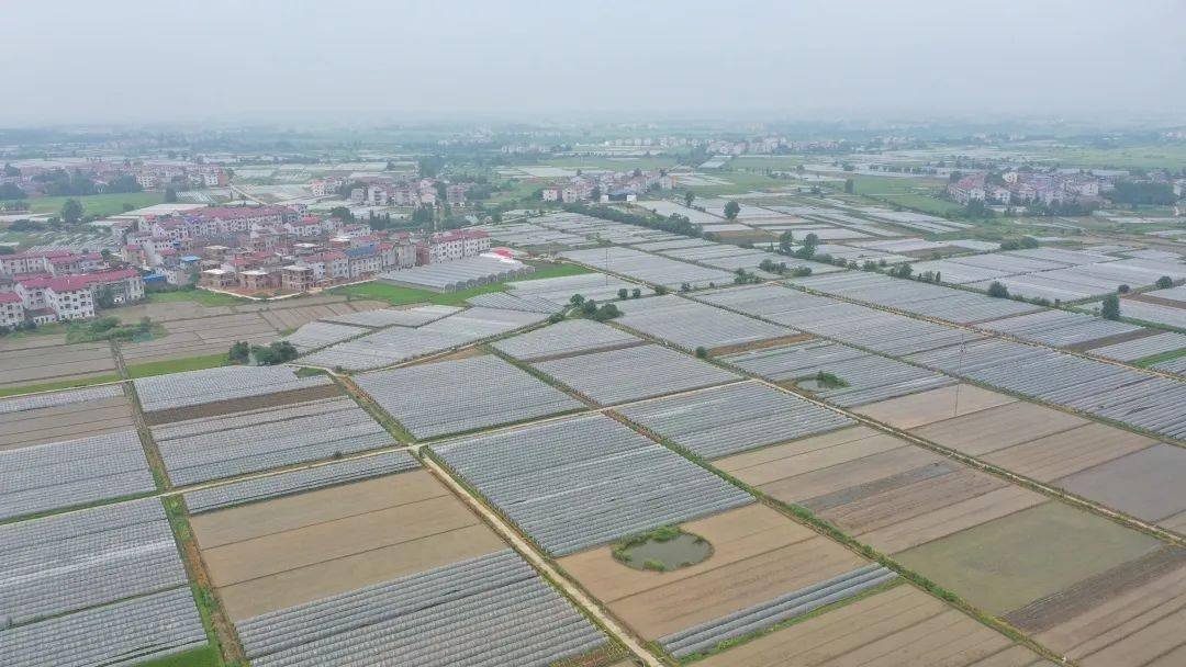 富硒农产品综合标准（富硒农产品硒含量标准）-硒宝网