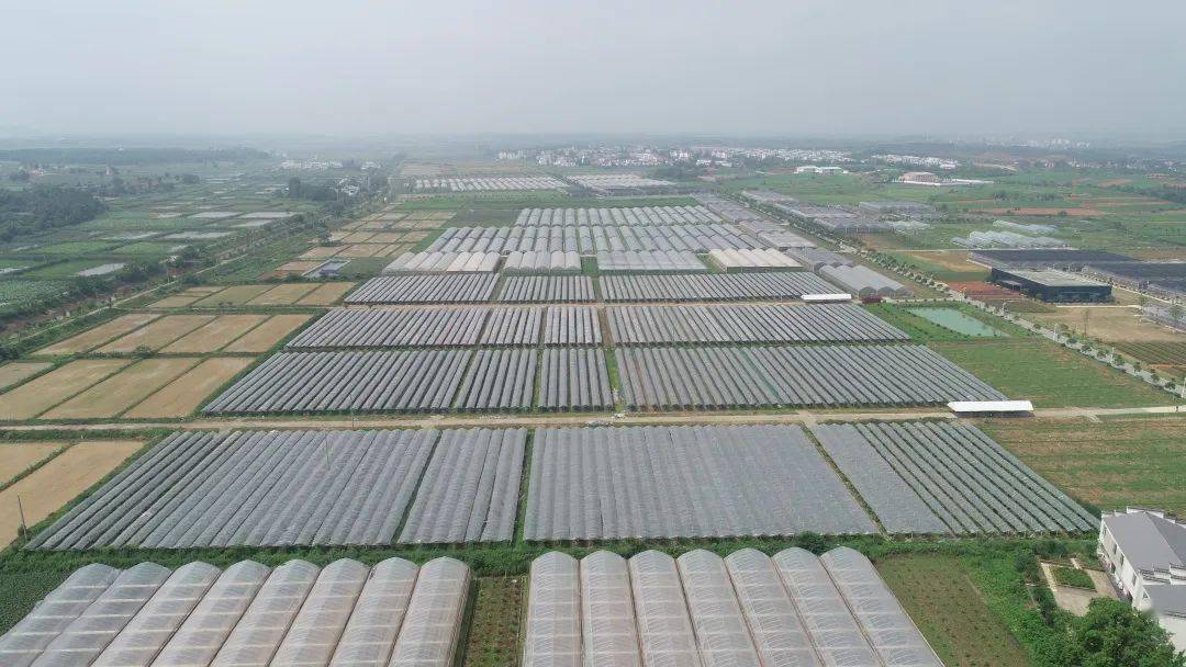 富硒农产品综合标准（富硒农产品硒含量标准）-硒宝网