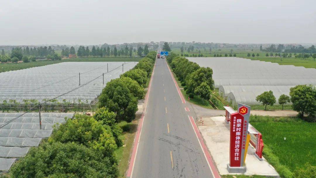 富硒农产品综合标准（富硒农产品硒含量标准）-硒宝网