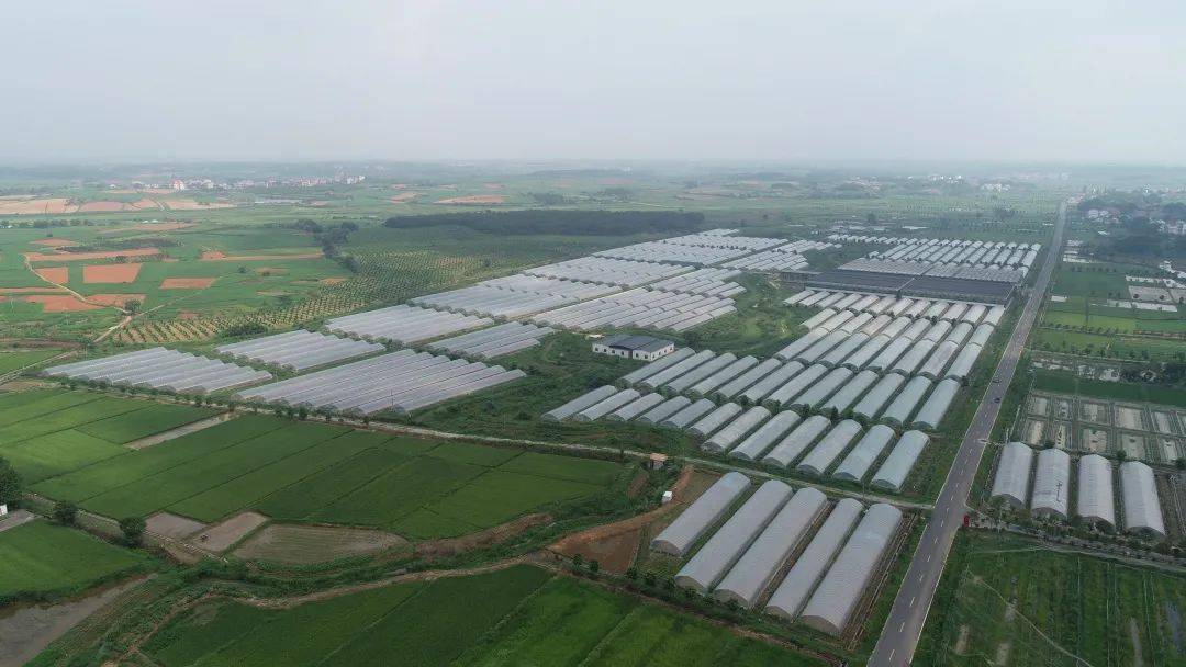 富硒农产品综合标准（富硒农产品硒含量标准）-硒宝网