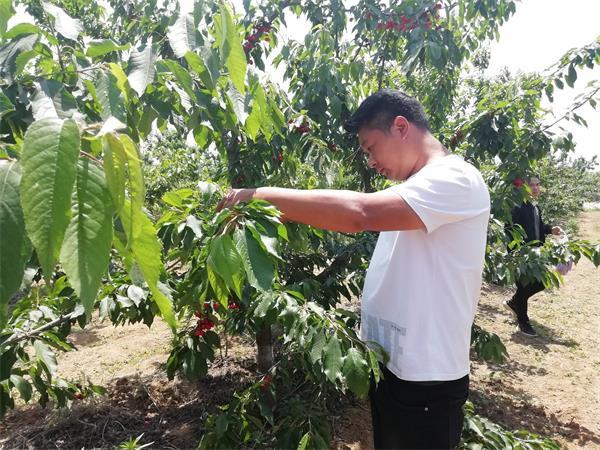 河南郏县富硒农产品(河南富硒农产品协会简介)-硒宝网