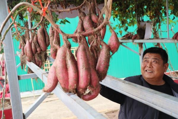 河南郏县富硒农产品(河南富硒农产品协会)-硒宝网