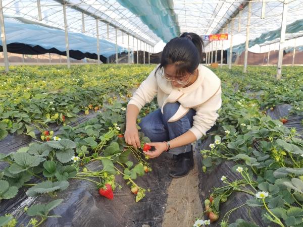 河南郏县富硒农产品(河南富硒农产品协会)-硒宝网