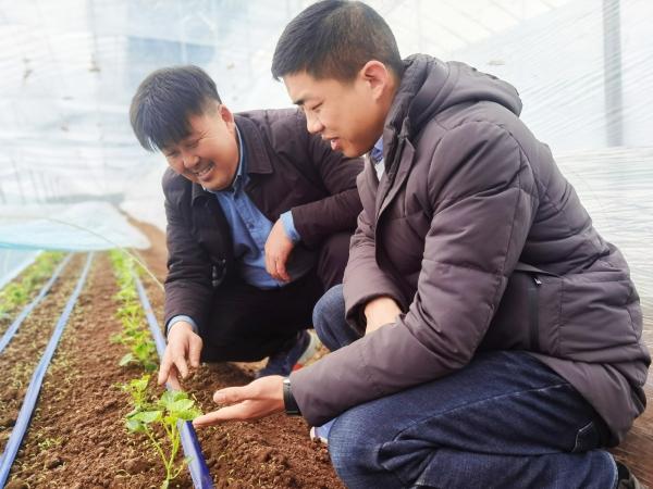 河南郏县富硒农产品(河南富硒农产品协会)-硒宝网