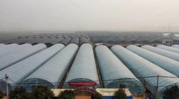 河南郏县富硒农产品(河南富硒农产品协会)-硒宝网