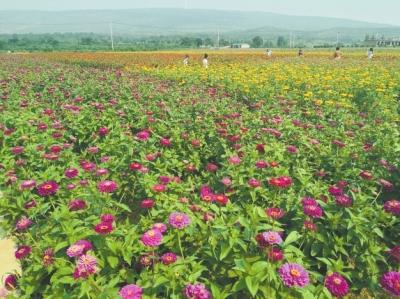 河南郏县富硒农产品(河南富硒生态园)-硒宝网