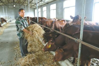 河南郏县富硒农产品(河南富硒生态园)-硒宝网