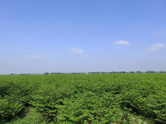 湖南富硒农产品分布(湖南富硒之乡)-硒宝网