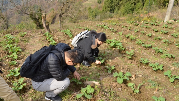 怎样支持富硒农产品(农用富硒)-硒宝网