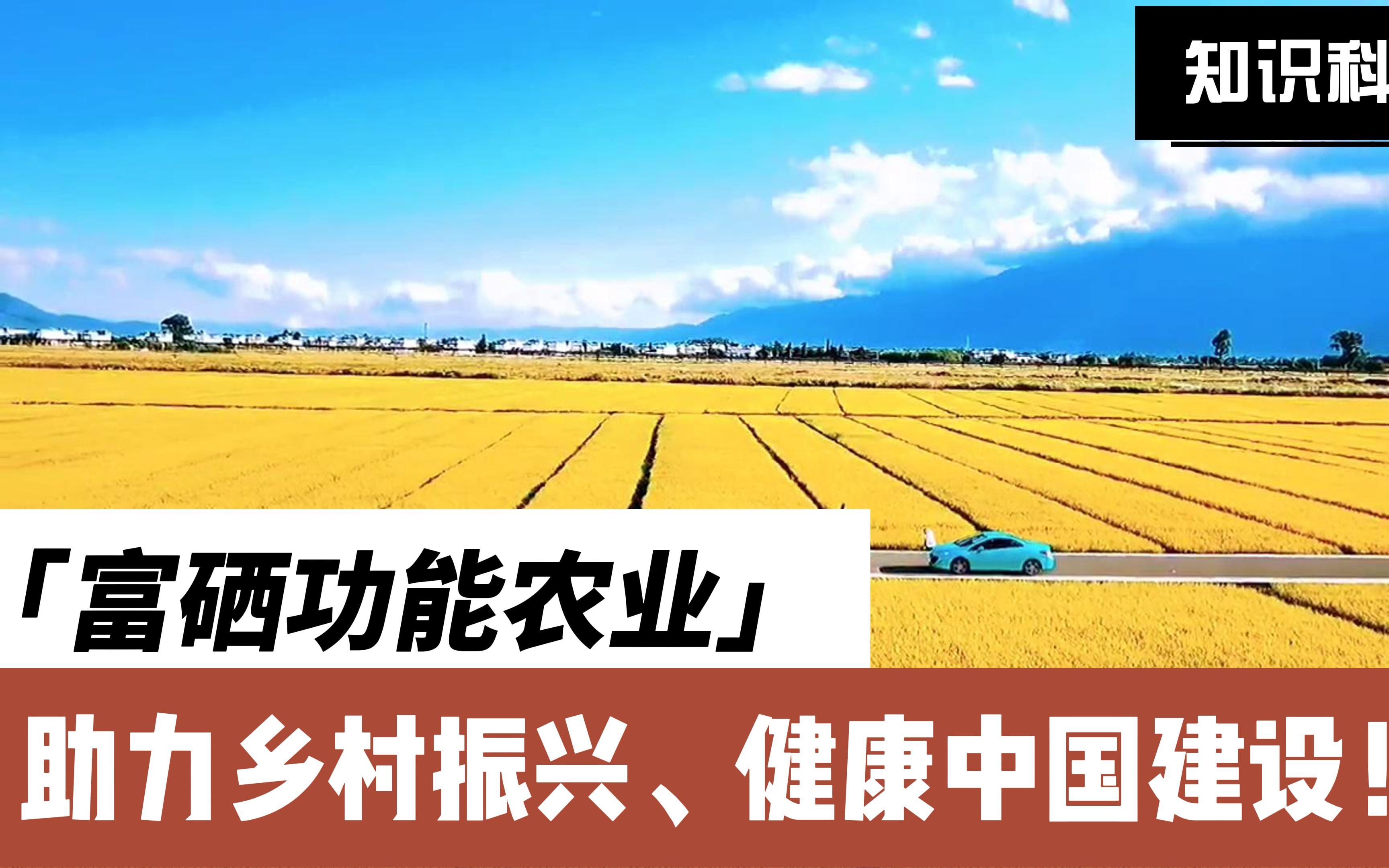 柏乡富硒农产品北京（北京富硒农业研究院）-硒宝网