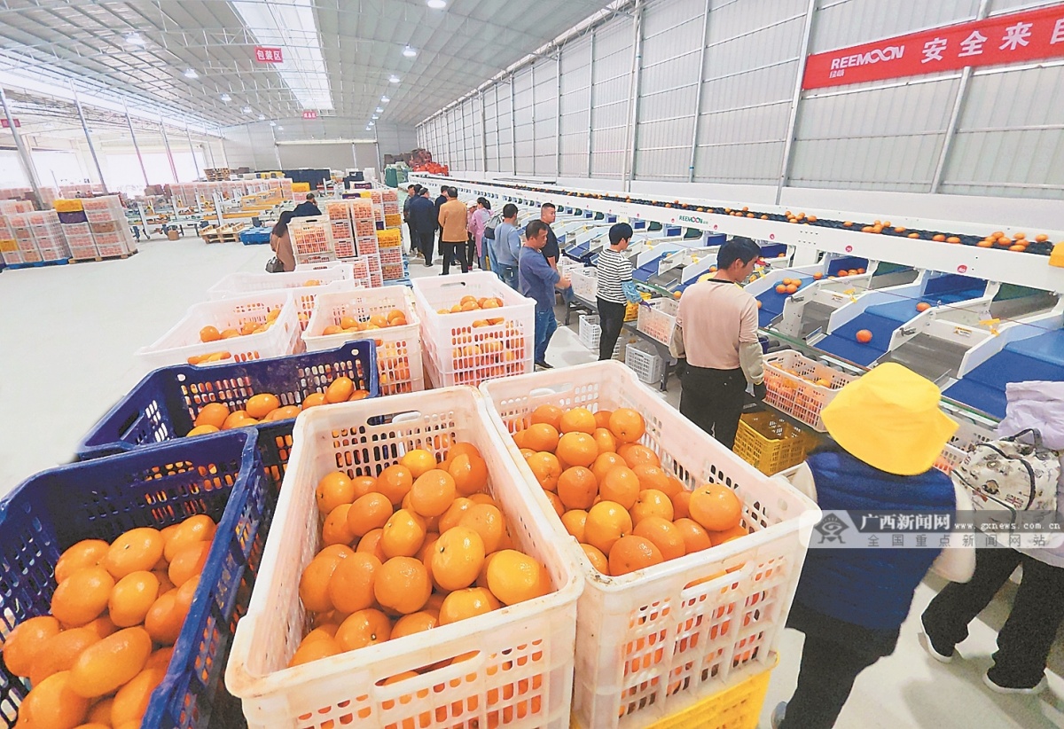 广西永福富硒农产品（永福县富硒）-硒宝网