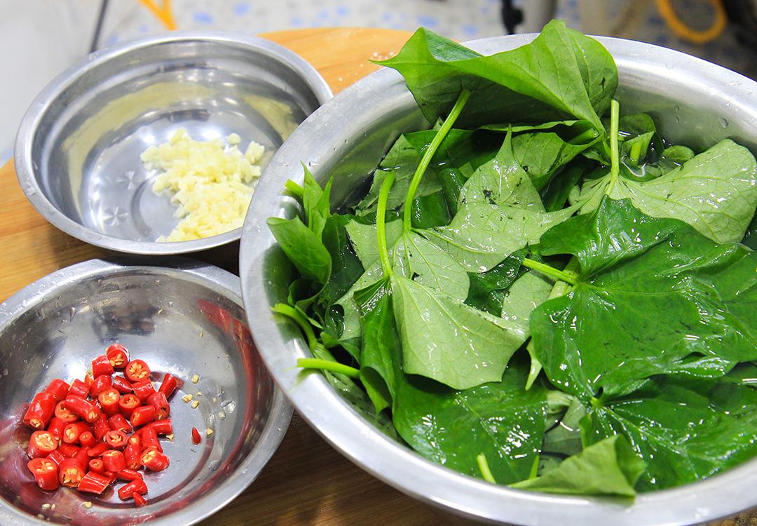 吃什么菜可以补钙（菜补钙吃可以长高吗）-硒宝网