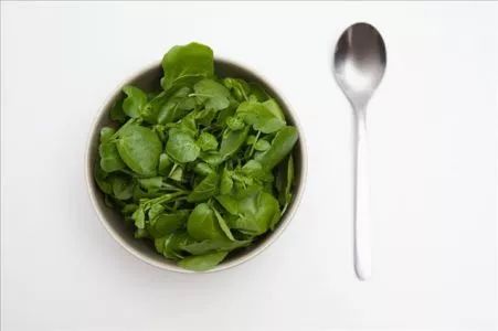 吃菠菜能补铁吗(吃菠菜可以吃补铁药吗)-硒宝网