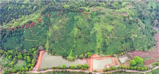 富硒农产品监督检测（富硒食品检测）-硒宝网