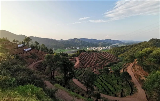 富硒农产品监督检测（富硒食品检测）-硒宝网