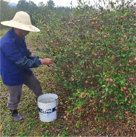 富硒农产品监督检测（富硒食品检测）-硒宝网