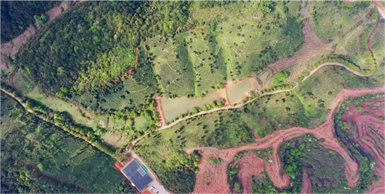 富硒农产品监督检测（富硒食品检测）-硒宝网