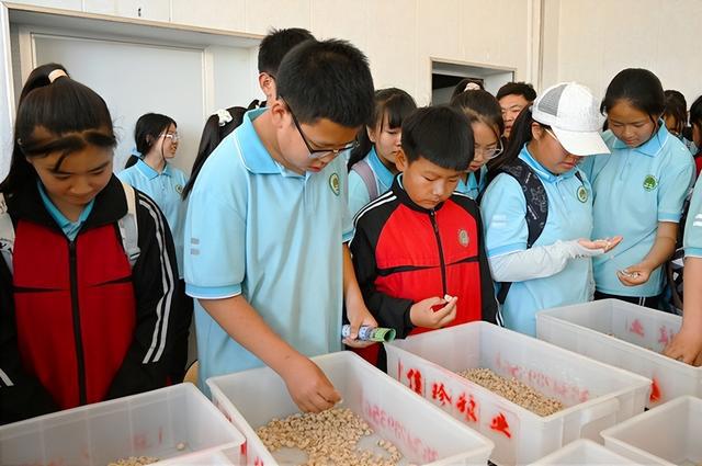 海伦富硒农产品介绍(海伦富硒玉米)-硒宝网