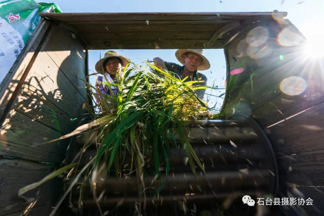 关于富硒农产品标题（富硒农产品标志）-硒宝网