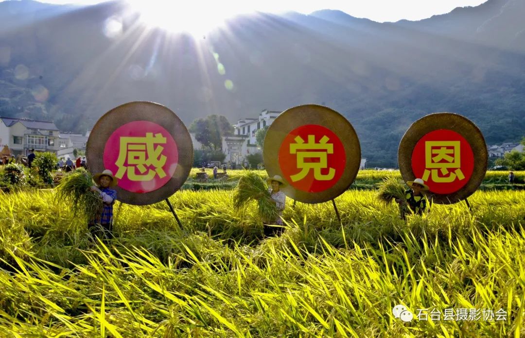 关于富硒农产品标题（富硒农产品标志）-硒宝网