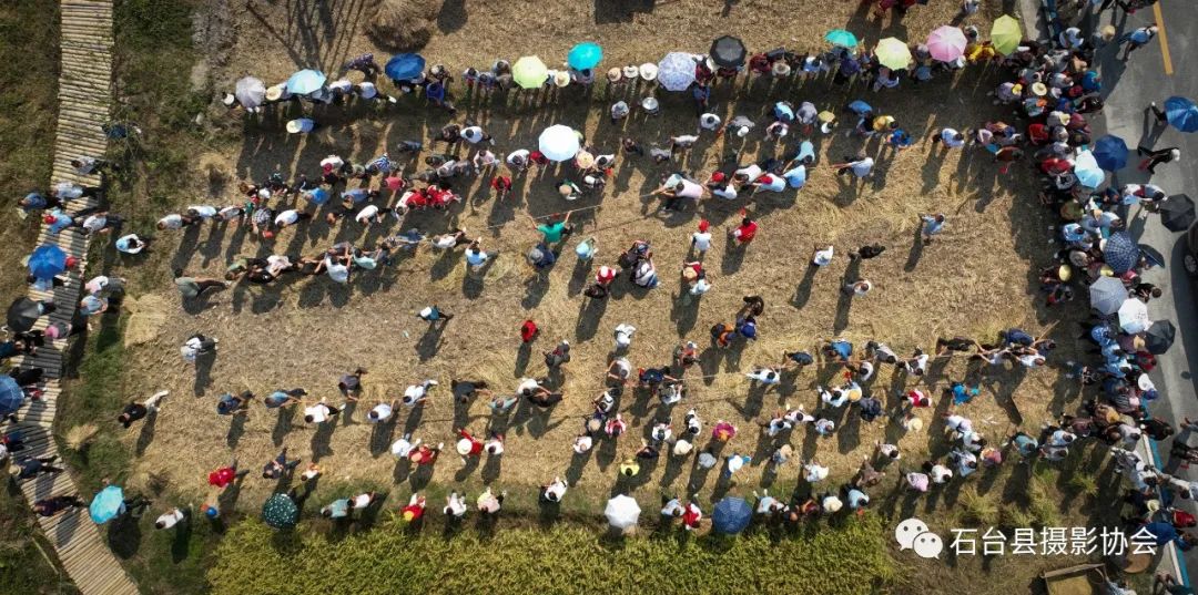 关于富硒农产品标题（富硒农产品标志）-硒宝网