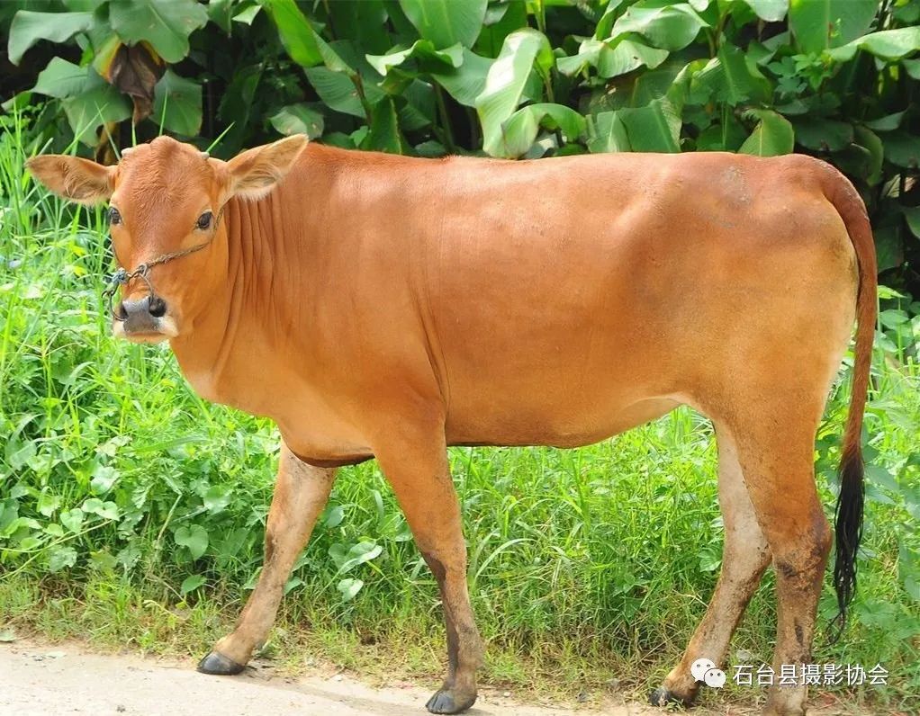 关于富硒农产品标题（富硒农产品标志）-硒宝网