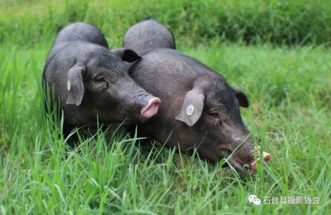 关于富硒农产品标题（富硒农产品标志）-硒宝网