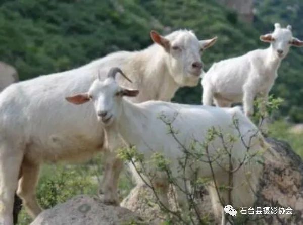 关于富硒农产品标题（富硒农产品标志）-硒宝网