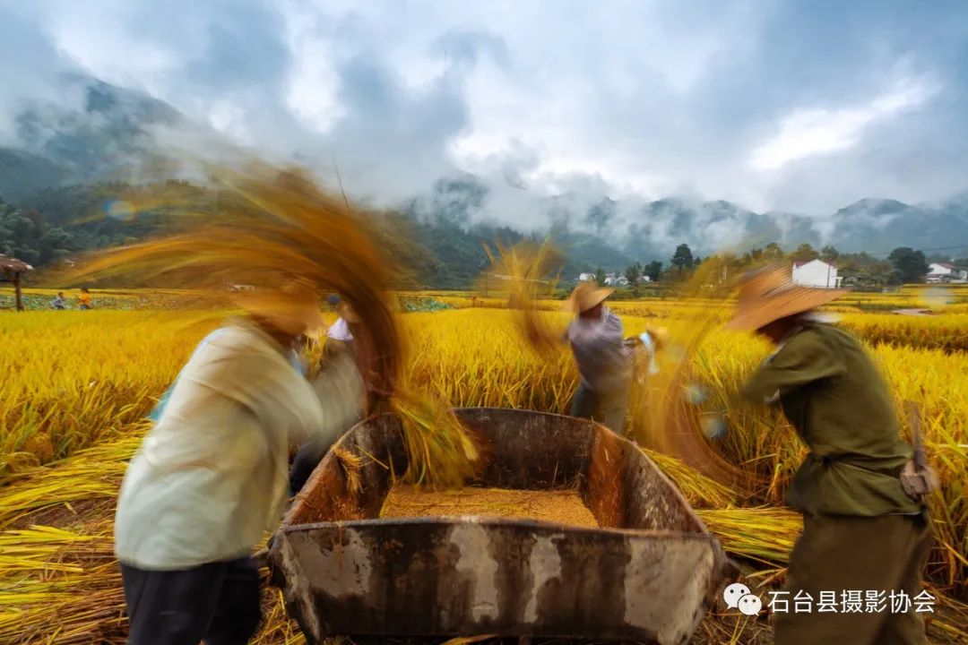 关于富硒农产品标题（富硒农产品标志）-硒宝网