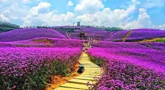 富硒农产品基地济南（济南硒谷农业）-硒宝网