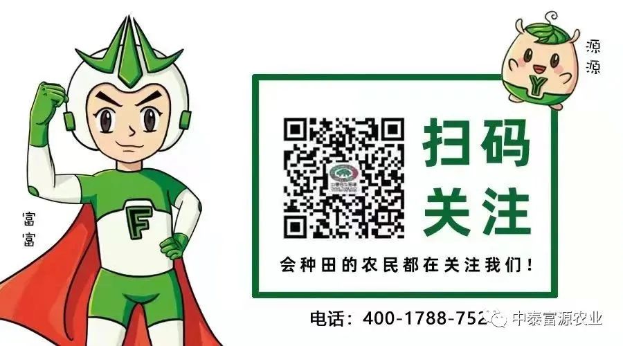 富硒产品的市场需求(需求富硒市场产品是什么)-硒宝网