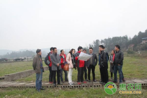 建始富硒特色农产品(富硒农业)-硒宝网