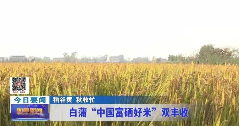 如皋长寿富硒农产品（长寿村硒）-硒宝网