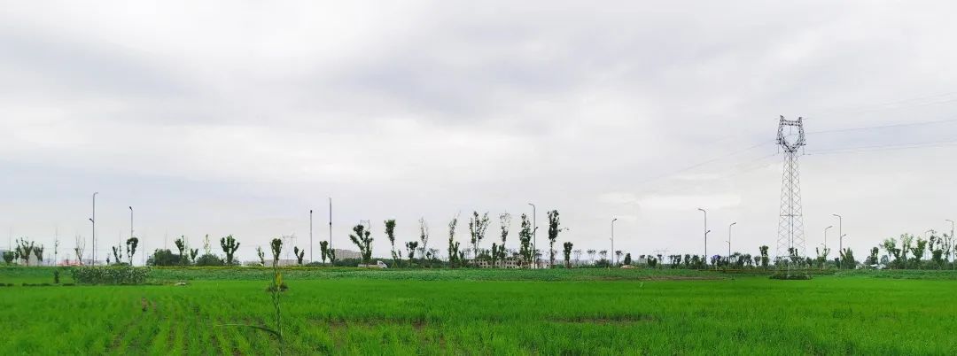 希望田野富硒农产品（富硒稻田）-硒宝网