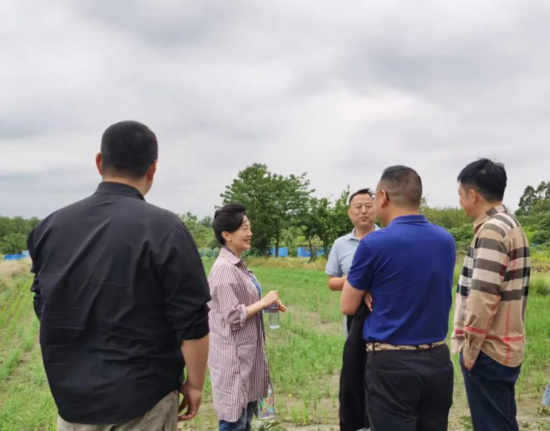 希望田野富硒农产品（富硒稻田）-硒宝网