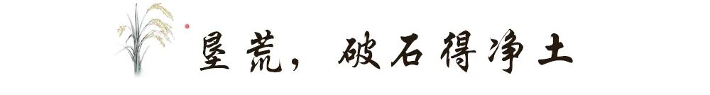 希望田野富硒农产品（富硒稻田）-硒宝网