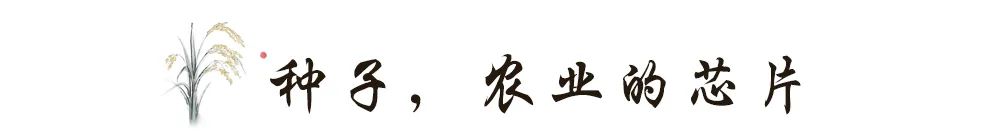 希望田野富硒农产品（富硒稻田）-硒宝网