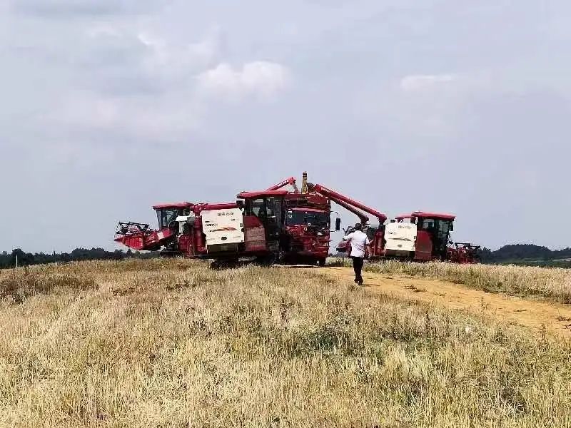 希望田野富硒农产品（富硒稻田）-硒宝网