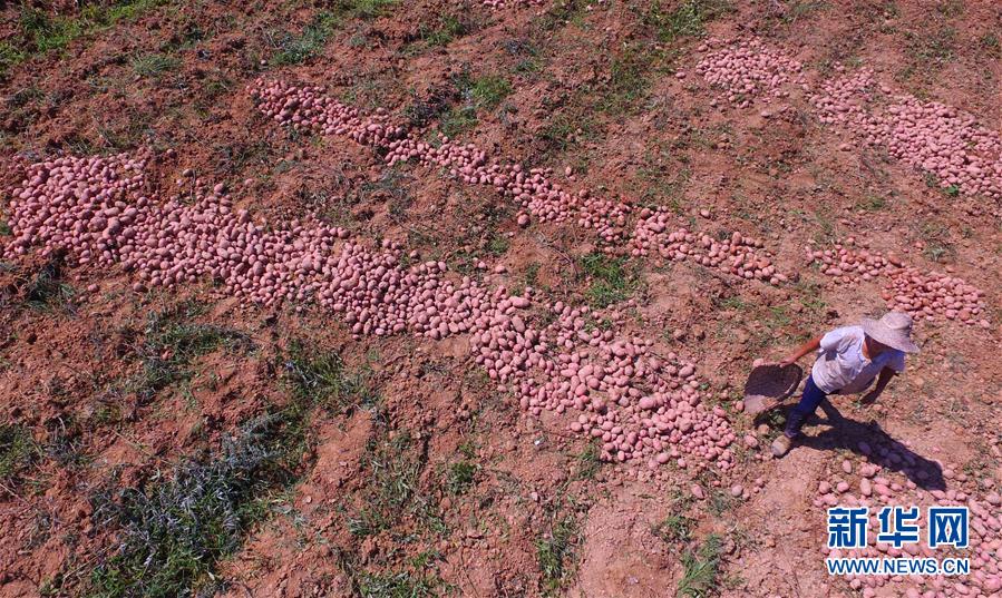 富硒恩施农产品优势(恩施富硒)-硒宝网