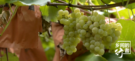 建始富硒特色农产品（富硒农产品特点是什么）-硒宝网