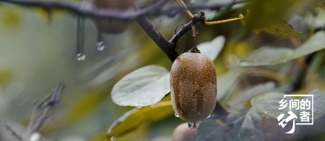 建始富硒特色农产品（富硒农产品特点是什么）-硒宝网