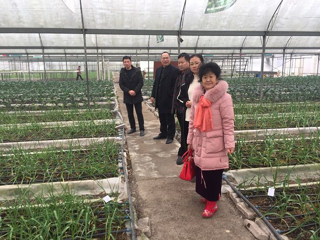 富硒恩施农产品优势(恩施富硒茶)-硒宝网