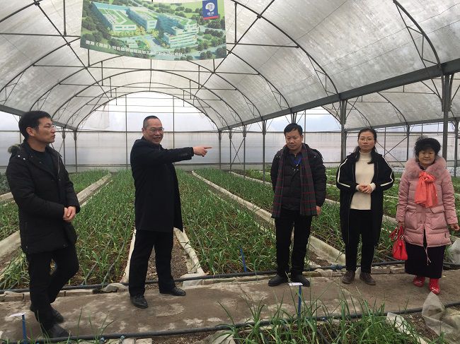 富硒恩施农产品优势(恩施富硒茶)-硒宝网