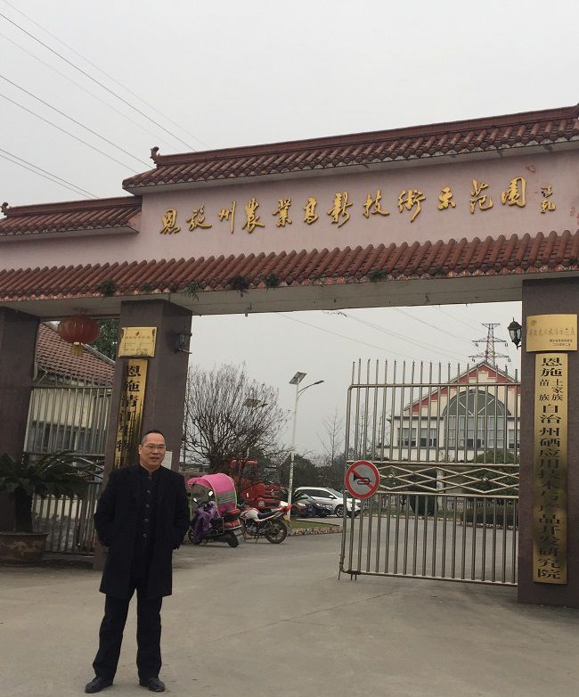 富硒恩施农产品优势(恩施富硒茶)-硒宝网