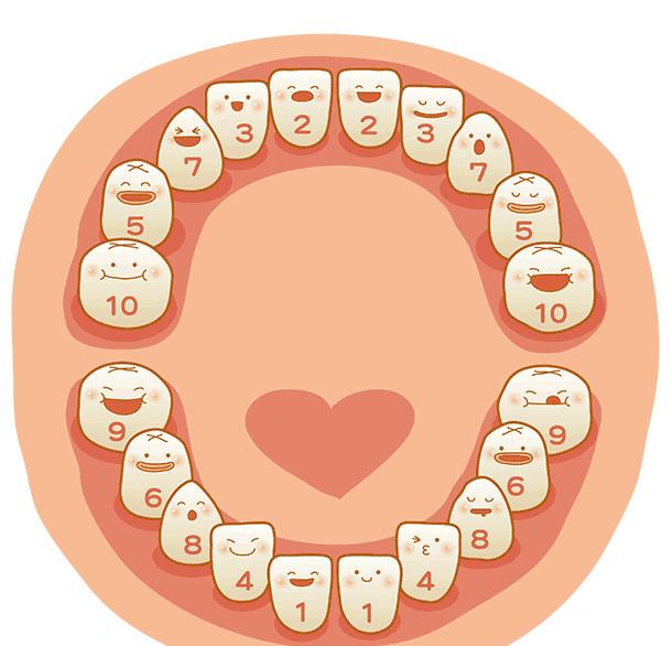 换牙期需要补钙吗（换牙补钙需要补锌吗）-硒宝网