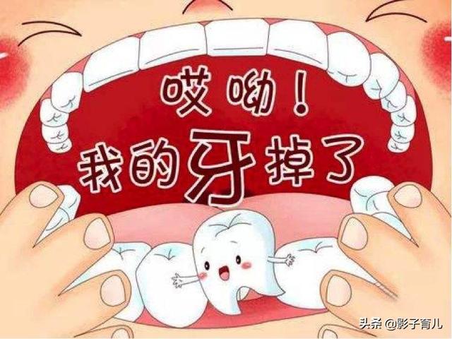 换牙期需要补钙吗（换牙补钙需要补锌吗）-硒宝网