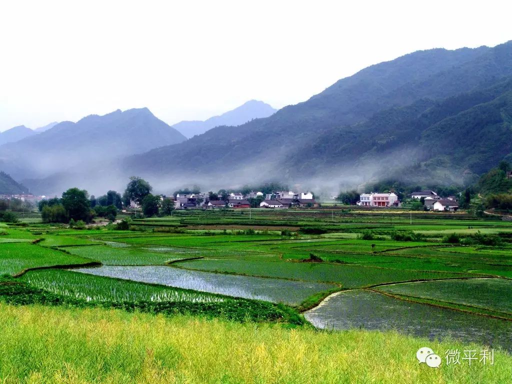 希望田野富硒农产品(富硒试验田)-硒宝网