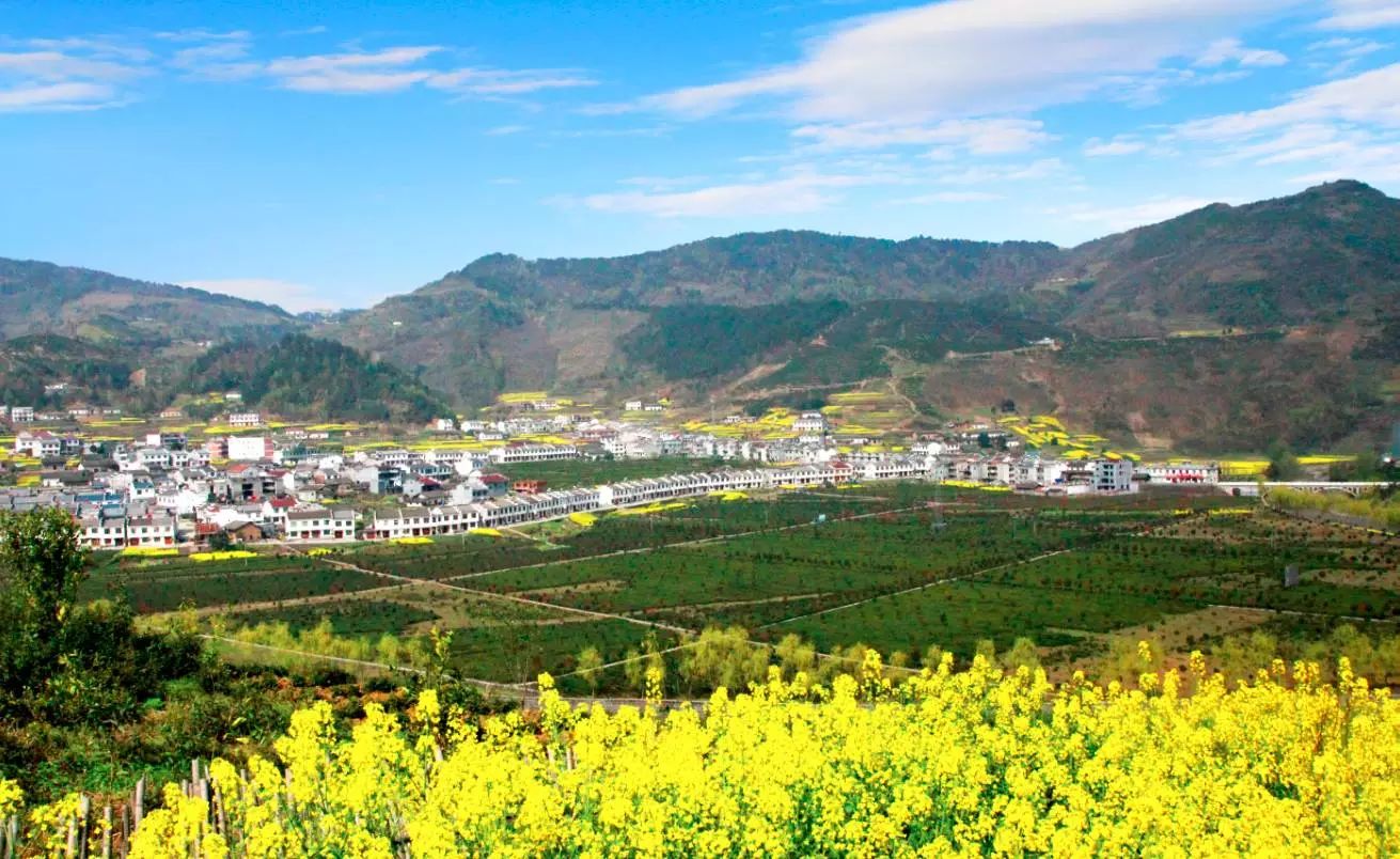 希望田野富硒农产品(富硒试验田)-硒宝网